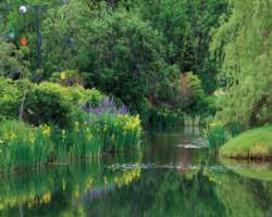 The garden also ponds and streams and is close to the Acadian forest due to which the place is preferred by various birds and animals to be adopted as